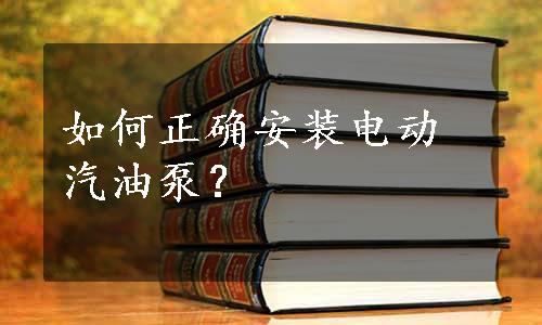 如何正确安装电动汽油泵？