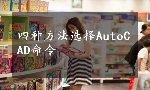 四种方法选择AutoCAD命令