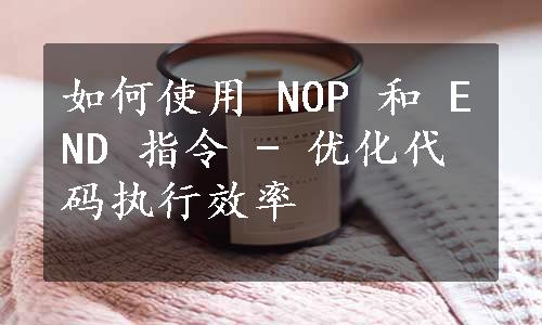 如何使用 NOP 和 END 指令 - 优化代码执行效率