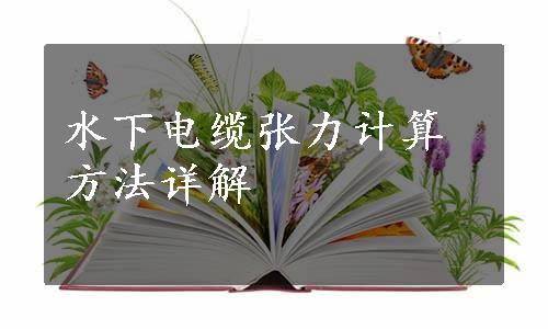 水下电缆张力计算方法详解