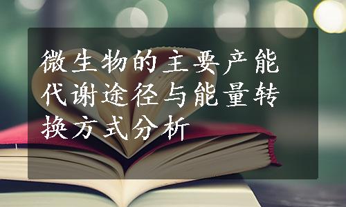 微生物的主要产能代谢途径与能量转换方式分析