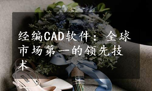 经编CAD软件：全球市场第一的领先技术