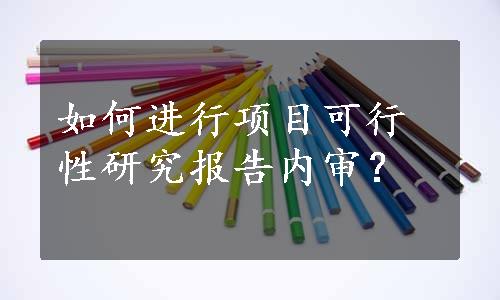 如何进行项目可行性研究报告内审？