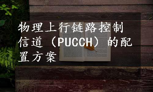 物理上行链路控制信道（PUCCH）的配置方案