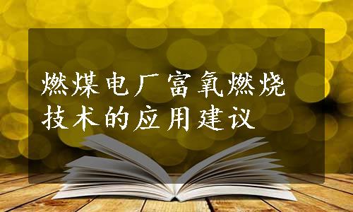 燃煤电厂富氧燃烧技术的应用建议