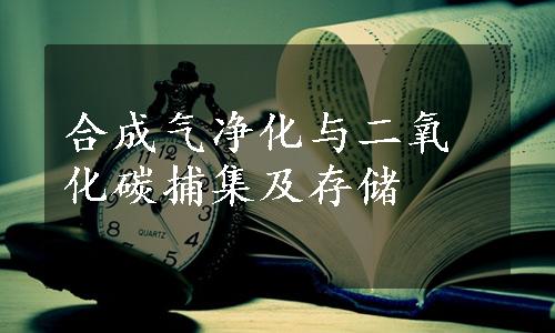 合成气净化与二氧化碳捕集及存储