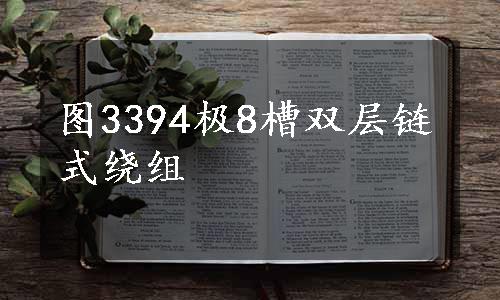 图3394极8槽双层链式绕组