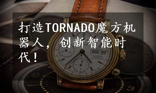 打造TORNADO魔方机器人，创新智能时代！