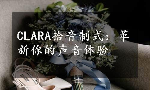 CLARA拾音制式：革新你的声音体验