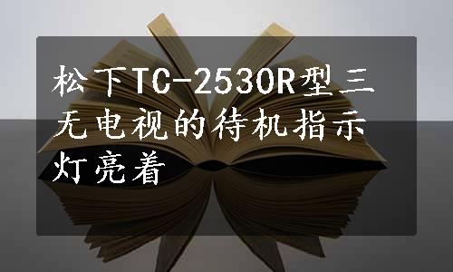 松下TC-2530R型三无电视的待机指示灯亮着