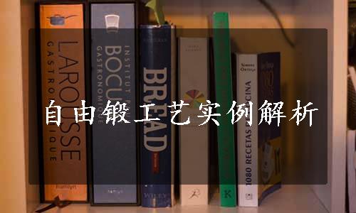 自由锻工艺实例解析