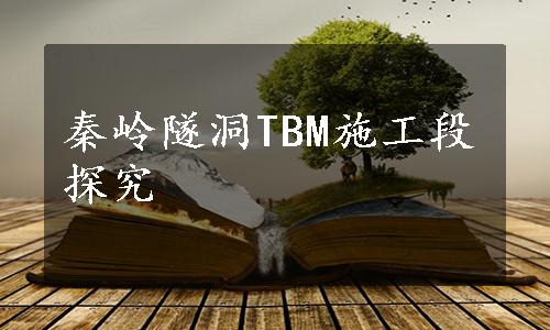 秦岭隧洞TBM施工段探究