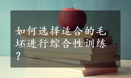 如何选择适合的毛坯进行综合性训练？