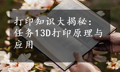 打印知识大揭秘：任务13D打印原理与应用