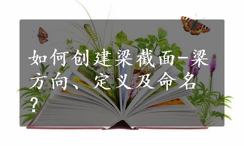 如何创建梁截面-梁方向、定义及命名？