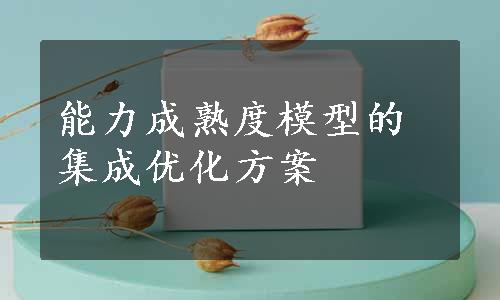 能力成熟度模型的集成优化方案