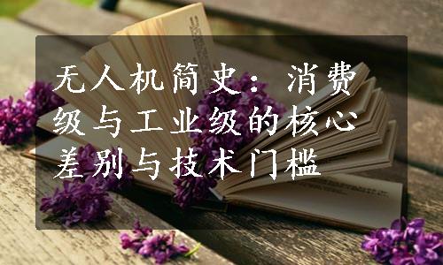 无人机简史：消费级与工业级的核心差别与技术门槛