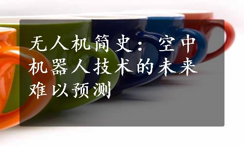 无人机简史：空中机器人技术的未来难以预测