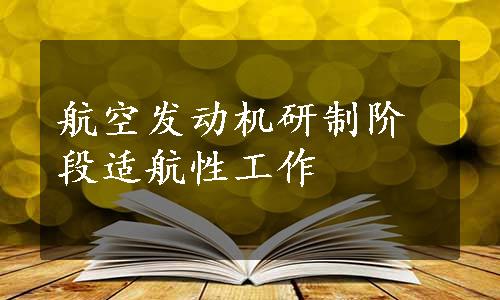 航空发动机研制阶段适航性工作