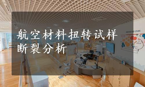 航空材料扭转试样断裂分析