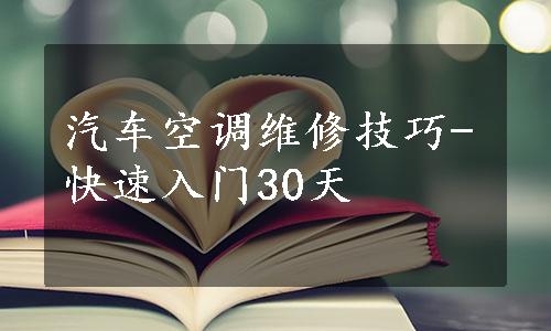 汽车空调维修技巧-快速入门30天