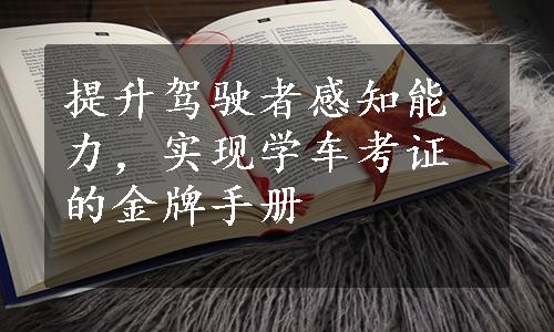 提升驾驶者感知能力，实现学车考证的金牌手册