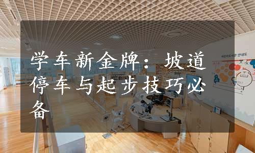 学车新金牌：坡道停车与起步技巧必备