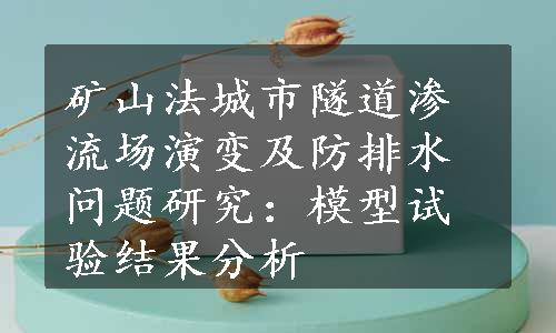 矿山法城市隧道渗流场演变及防排水问题研究：模型试验结果分析