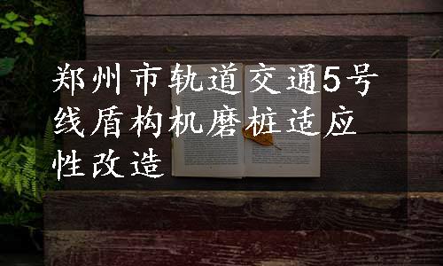 郑州市轨道交通5号线盾构机磨桩适应性改造