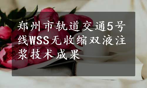 郑州市轨道交通5号线WSS无收缩双液注浆技术成果