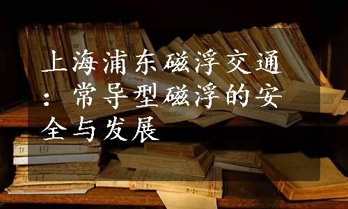 上海浦东磁浮交通：常导型磁浮的安全与发展