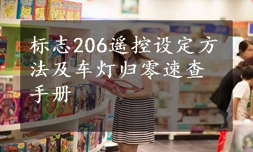 标志206遥控设定方法及车灯归零速查手册