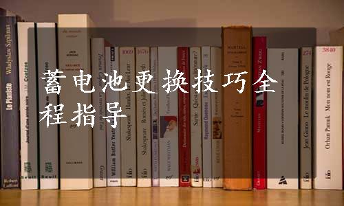 蓄电池更换技巧全程指导