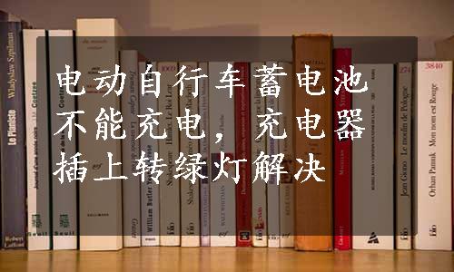 电动自行车蓄电池不能充电，充电器插上转绿灯解决