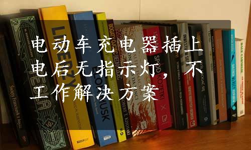 电动车充电器插上电后无指示灯，不工作解决方案