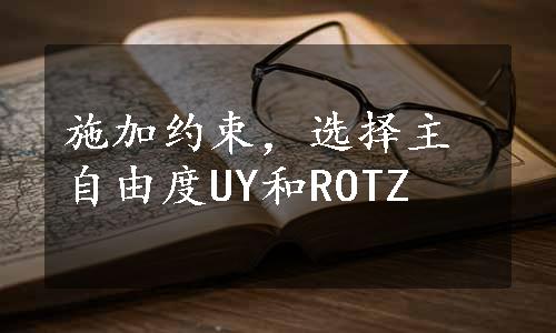 施加约束，选择主自由度UY和ROTZ