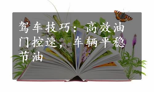 驾车技巧：高效油门控速，车辆平稳节油