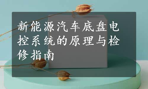 新能源汽车底盘电控系统的原理与检修指南