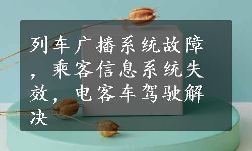 列车广播系统故障，乘客信息系统失效，电客车驾驶解决