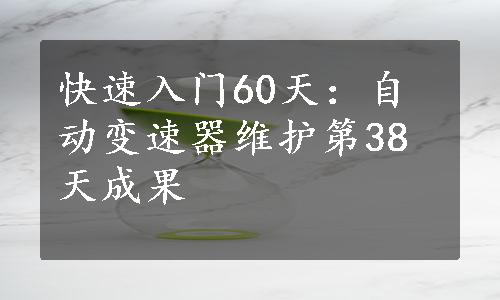 快速入门60天：自动变速器维护第38天成果