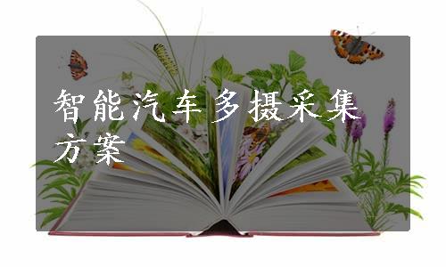 智能汽车多摄采集方案