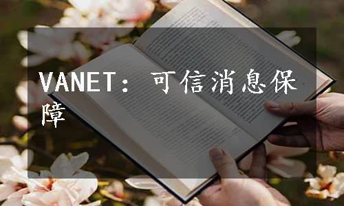 VANET：可信消息保障