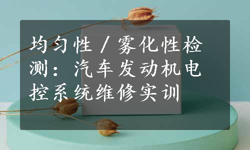 均匀性／雾化性检测：汽车发动机电控系统维修实训