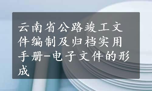 云南省公路竣工文件编制及归档实用手册-电子文件的形成