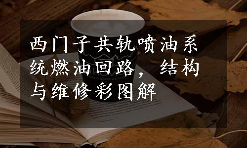 西门子共轨喷油系统燃油回路，结构与维修彩图解