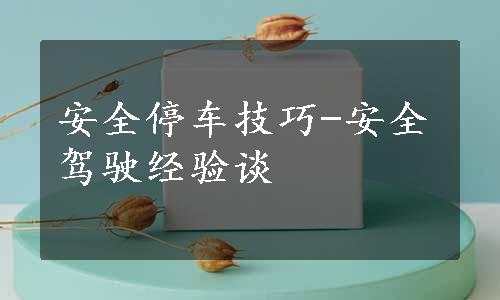 安全停车技巧-安全驾驶经验谈