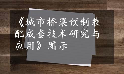 《城市桥梁预制装配成套技术研究与应用》图示