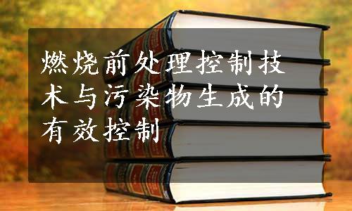 燃烧前处理控制技术与污染物生成的有效控制