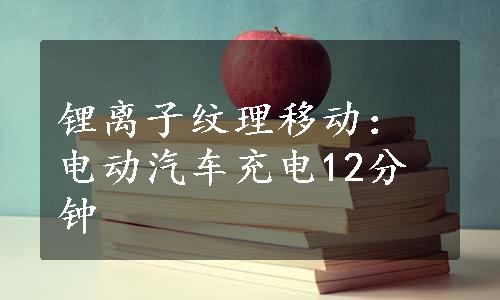 锂离子纹理移动：电动汽车充电12分钟