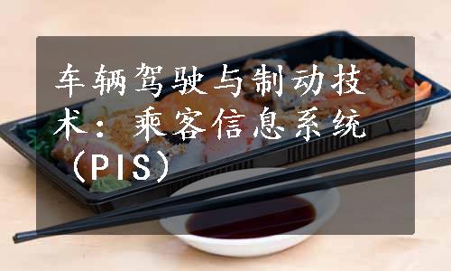 车辆驾驶与制动技术：乘客信息系统（PIS）